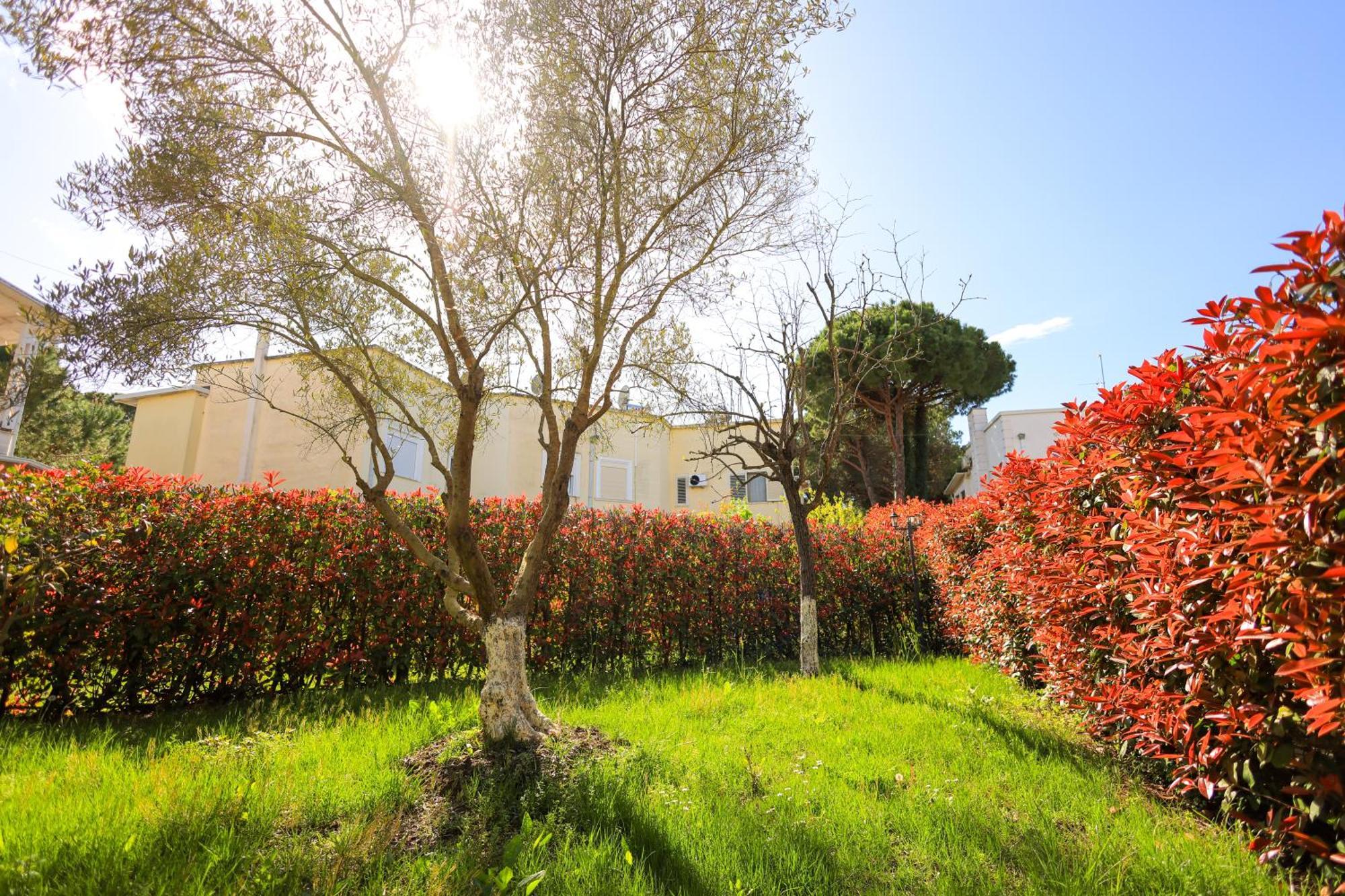 Grandstay Perla Villa